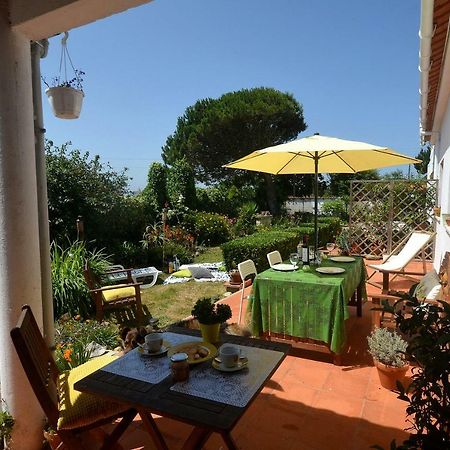 Happy Cat House - Holiday Rental São Martinho do Porto Eksteriør billede