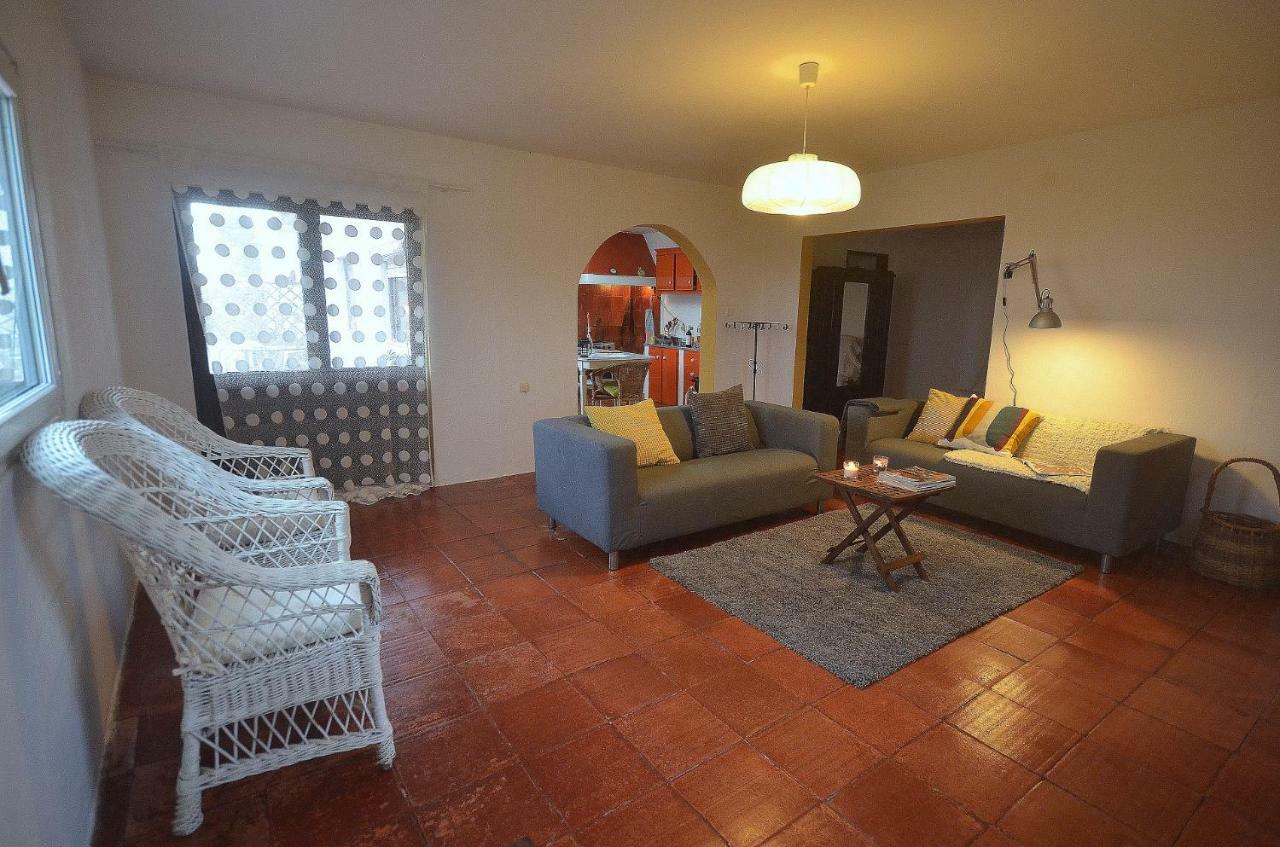 Happy Cat House - Holiday Rental São Martinho do Porto Eksteriør billede