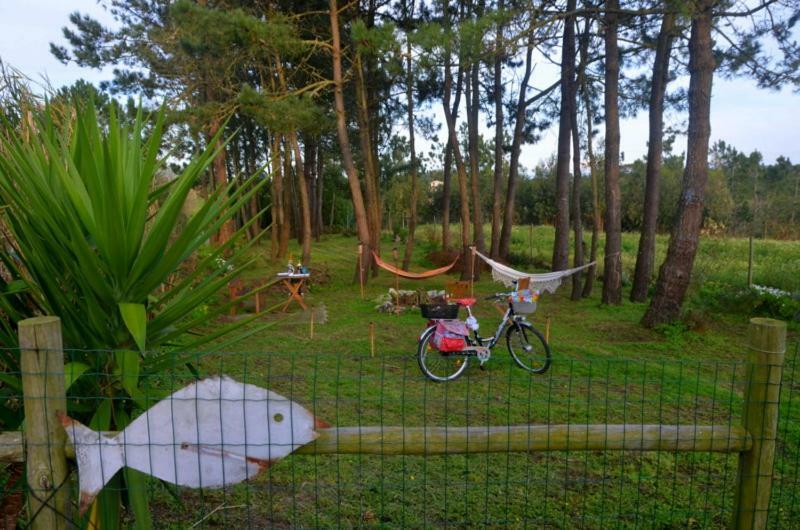 Happy Cat House - Holiday Rental São Martinho do Porto Eksteriør billede