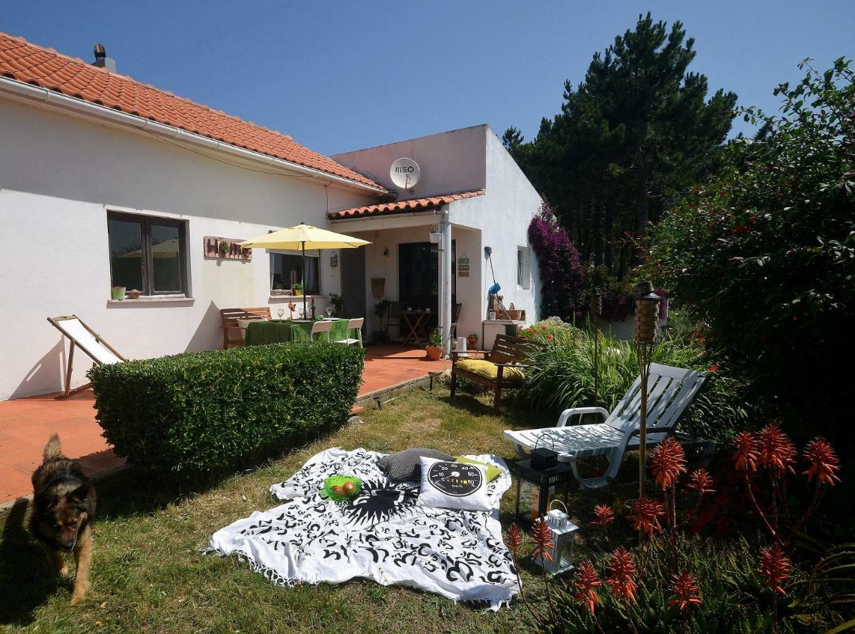Happy Cat House - Holiday Rental São Martinho do Porto Eksteriør billede