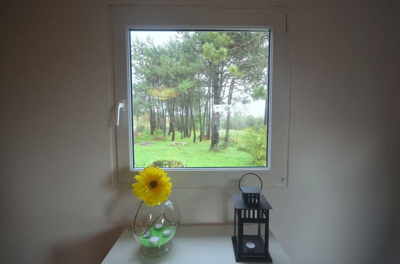 Happy Cat House - Holiday Rental São Martinho do Porto Eksteriør billede